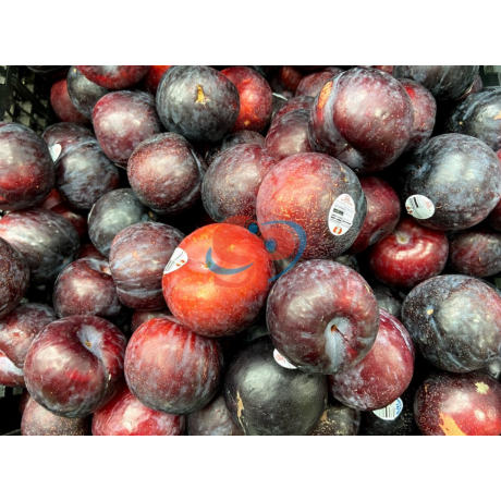Black plum