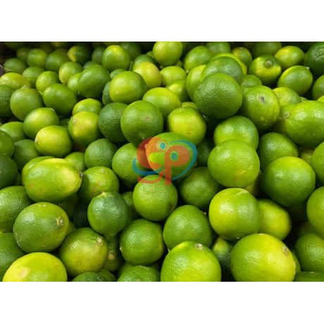Lime