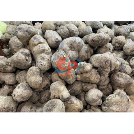Purple Yam