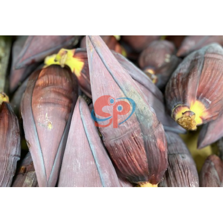 Banana Flower