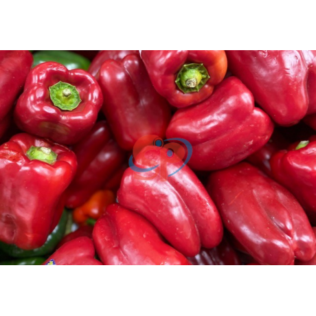 Red Pepper