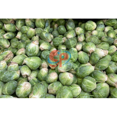 Brussels Sprout
