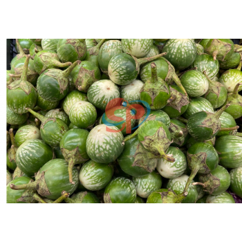 Thai Eggplant