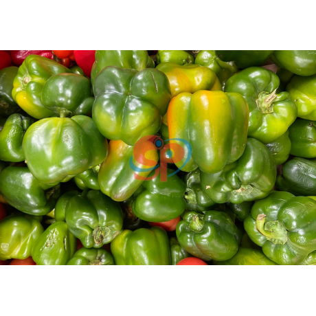 Green Pepper