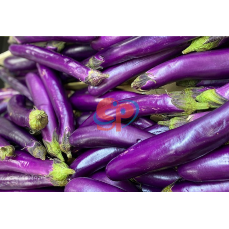 Eggplant