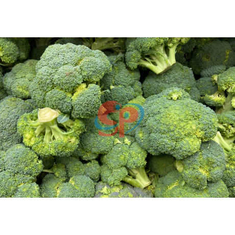 Broccoli