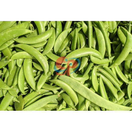 Snap Beans